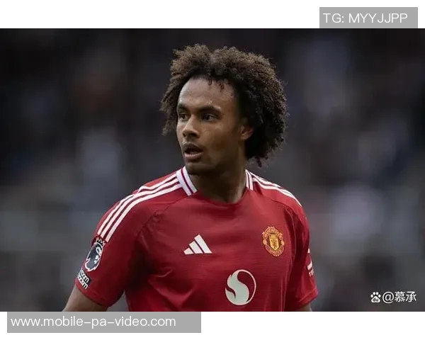 足球流言揭秘球员转会传闻与真实情况的深度分析与探讨