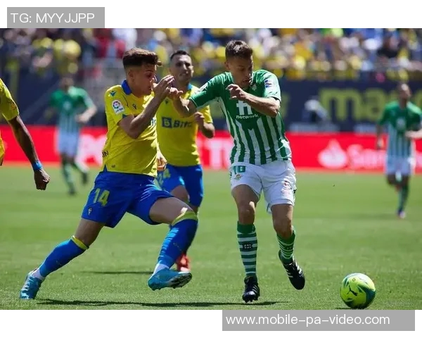 足球推介最准专家分享独家分析助你赢得每一场比赛