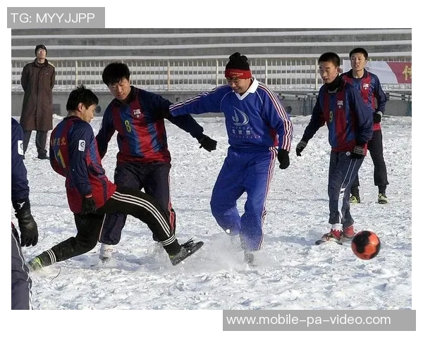 足球赛现场的热血沸腾与激情四溢的独特体验分享